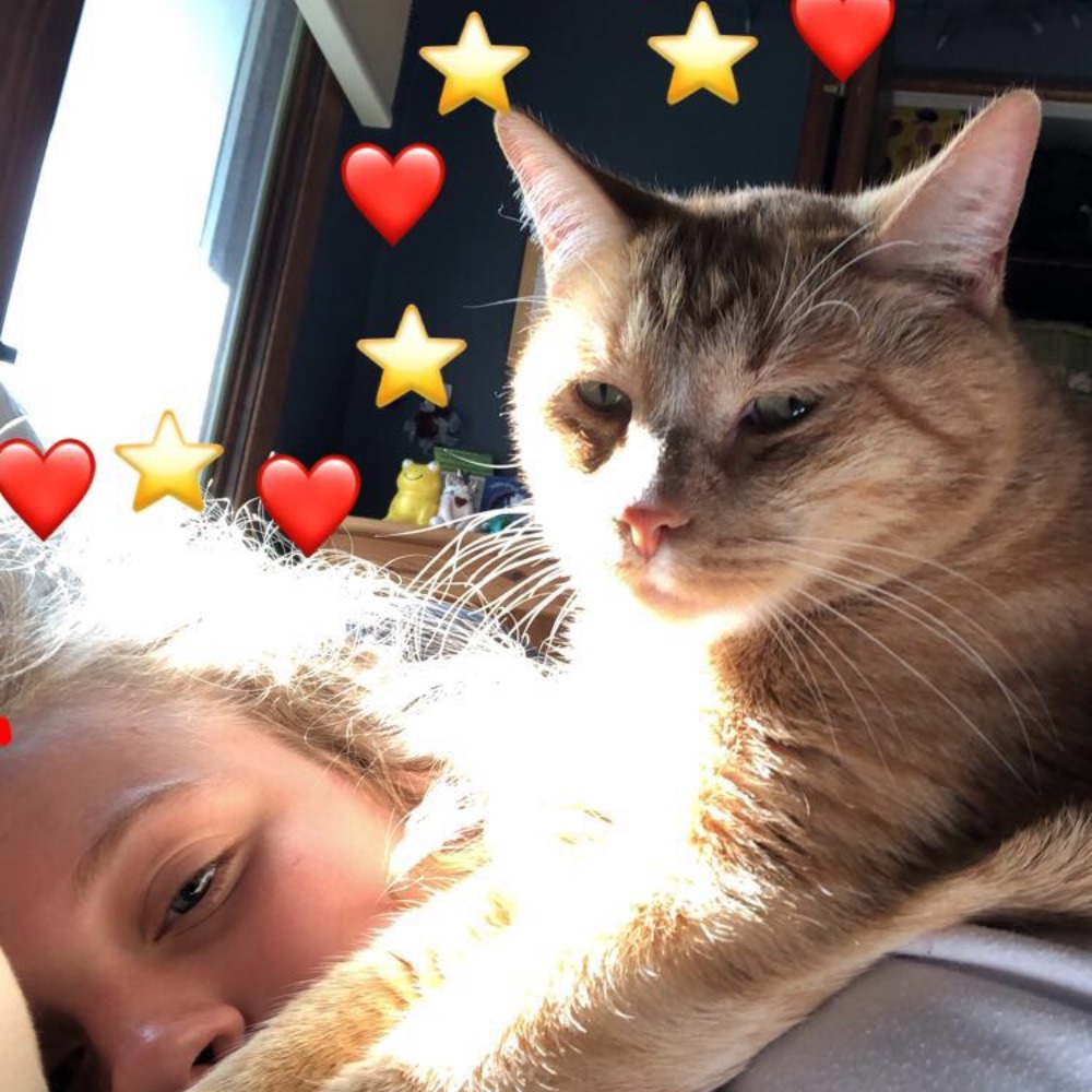 Meet your Posher, Morgan